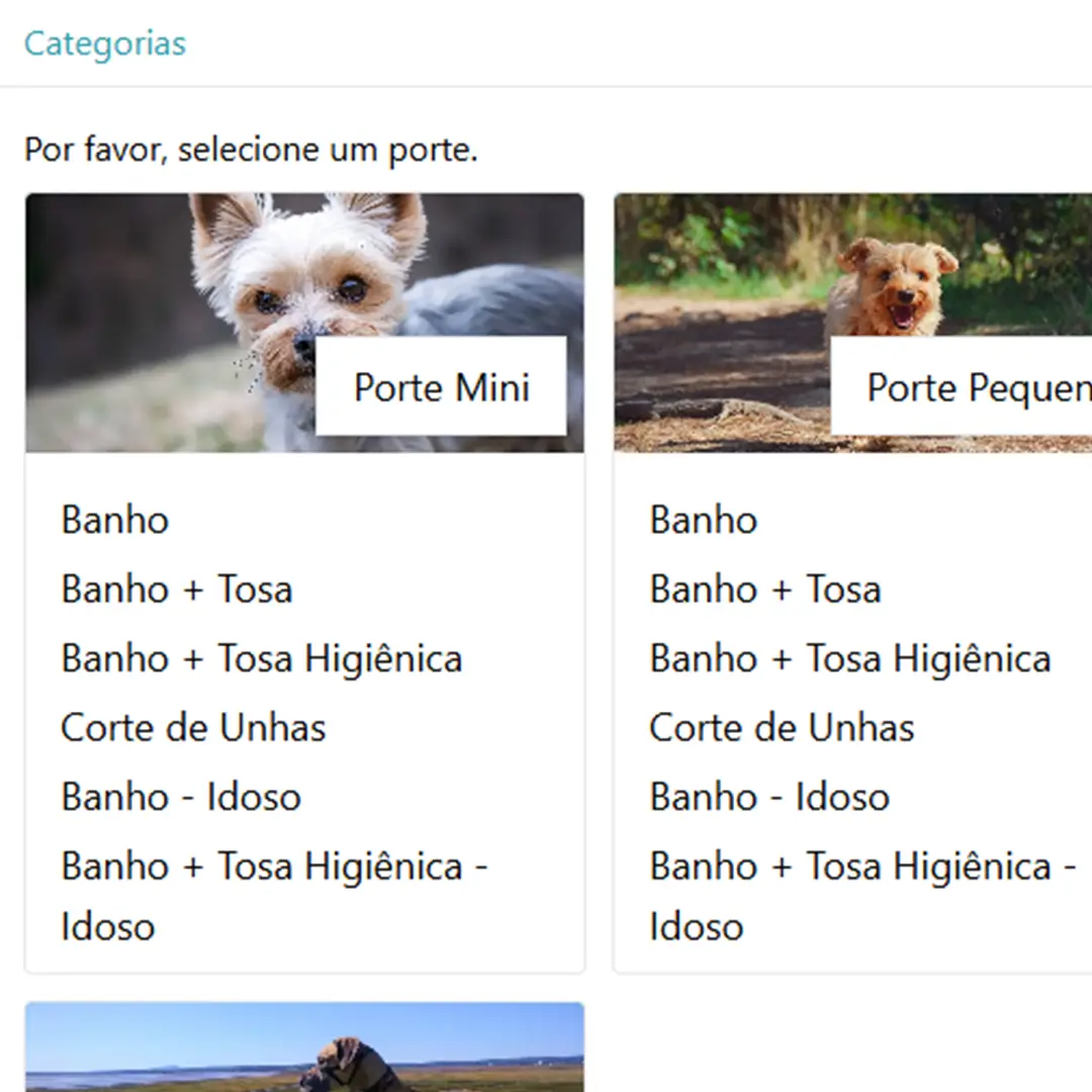 Pianoski-Banho-e-Tosa-Passo-1